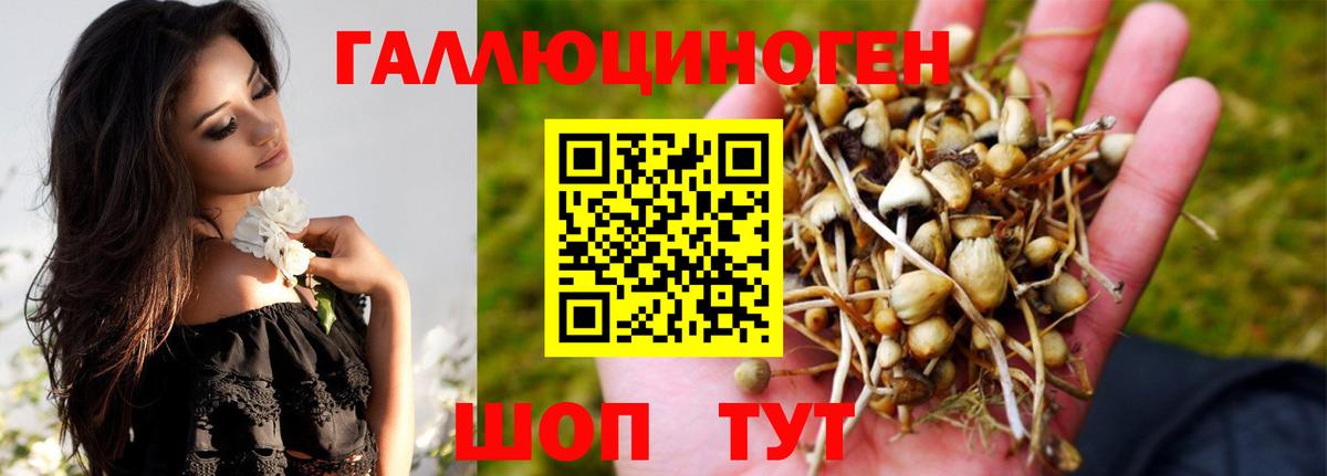Псилоцибиновые грибы Psilocybine cubensis Уварово