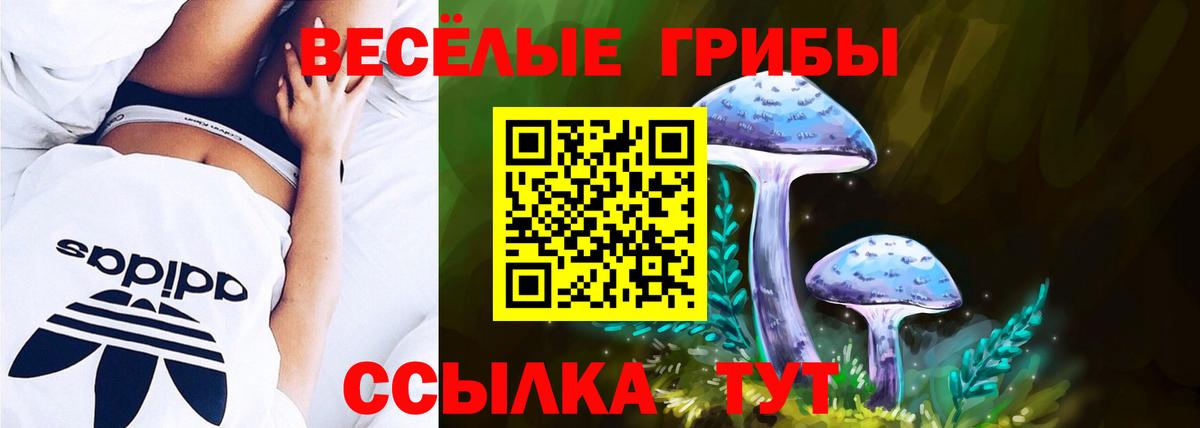 Галлюциногенные грибы мицелий  Вход с VPN  Галлюциногенные грибы Magic Shrooms  Уварово 